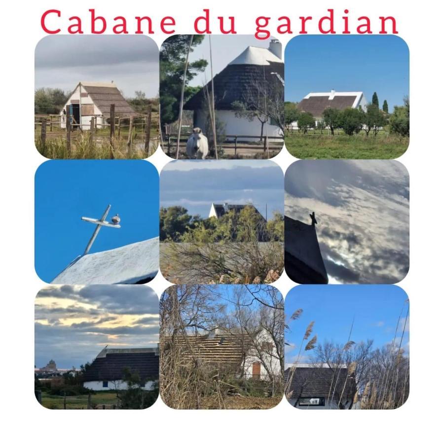 Appartement L Abri-cotier Saintes-Maries-de-la-Mer