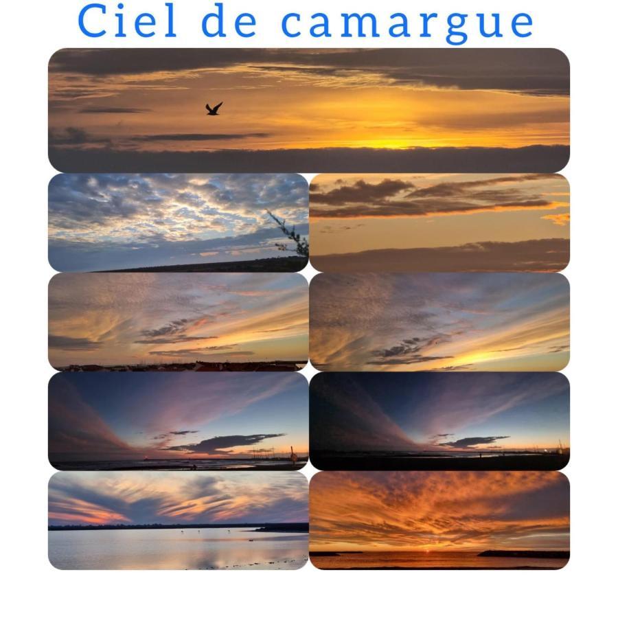 L Abri-cotier Appartement *